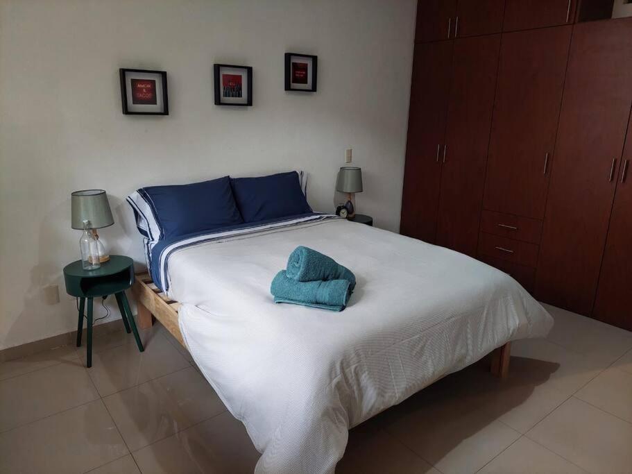Acogedor Apartamento En Condesa , Excelente Ubicacion *